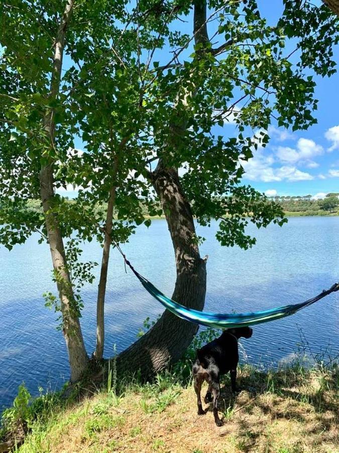 Lake House I Pioppi Nepi エクステリア 写真